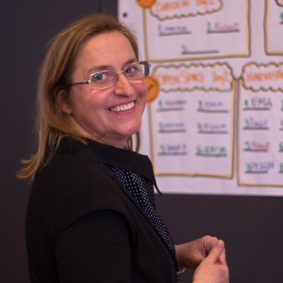 Miljenka Plazonic Bogdan, CPF, Developing organisations and people